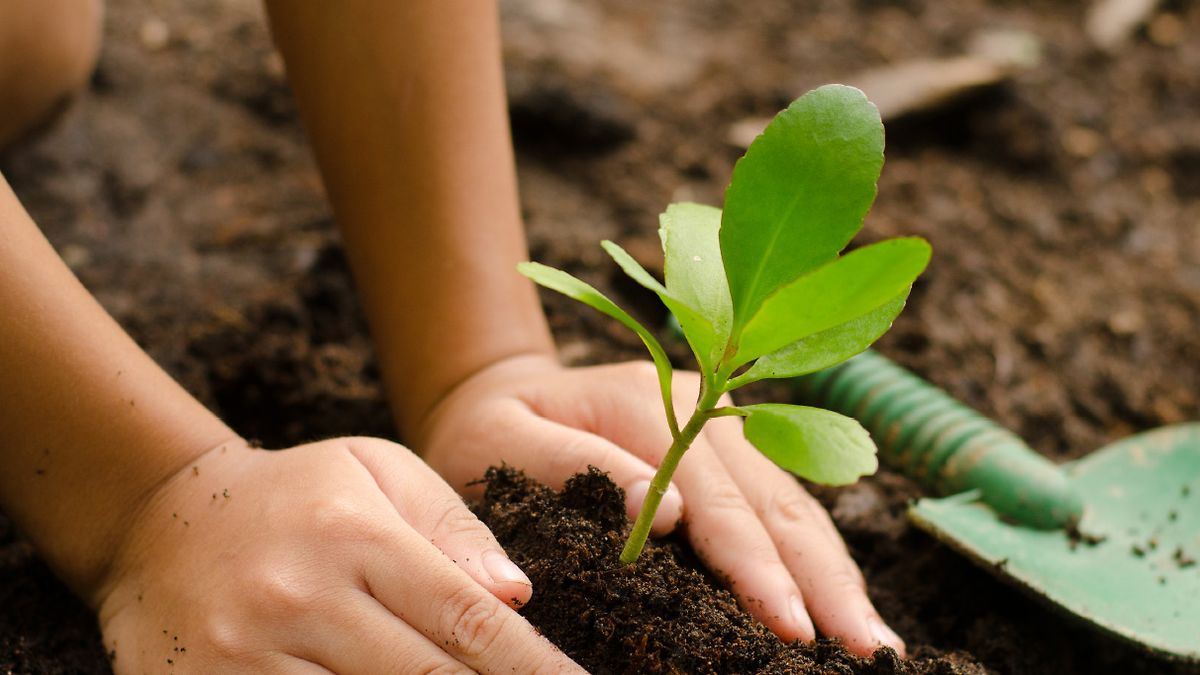 Environment Agency Abu Dhabi aims to collect 20m singleuse plastic bottles per year for recycling