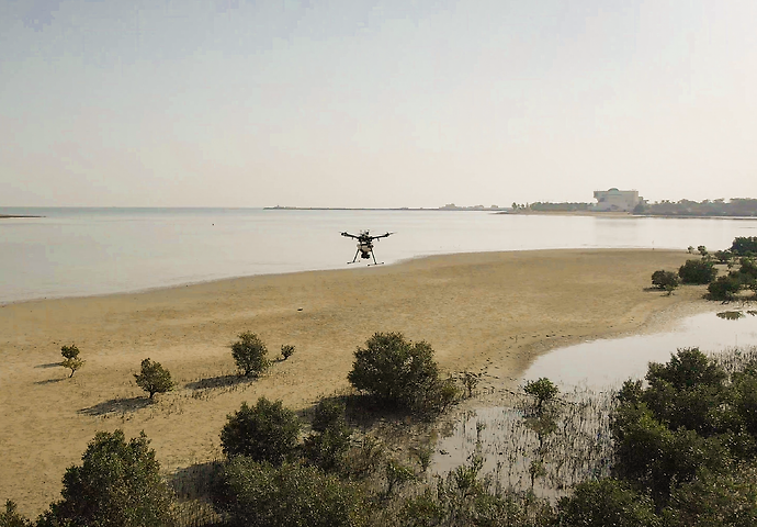 Environment Agency – Abu Dhabi plants one million mangrove seeds by drone