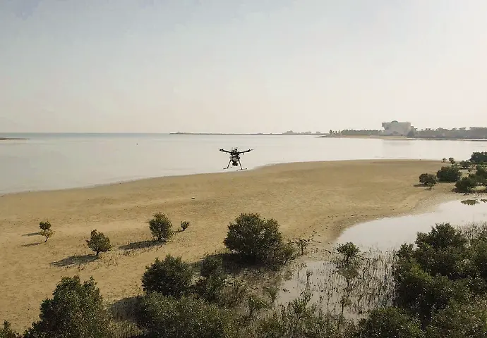 Environment Agency – Abu Dhabi plants one million mangrove seeds by drone