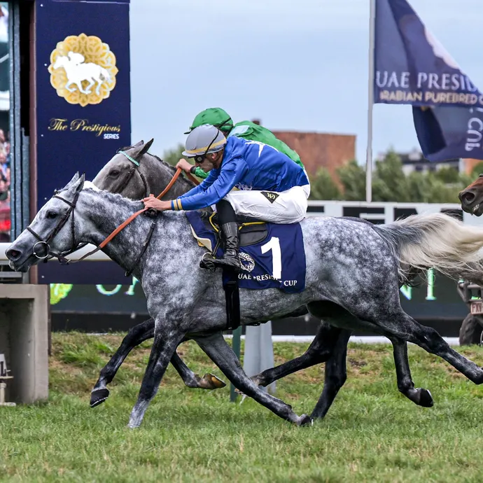 بتوجيهات منصور بن زايد.. النسخة الـ33 من كأس صاحب السموّ رئيس الدولة للخيول العربية الأصيلة تعلن أجندة سباقاتها العالمية