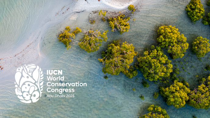 Under the patronage of the UAE President, IUCN World Conservation Congress 2025 to be held in Abu Dhabi