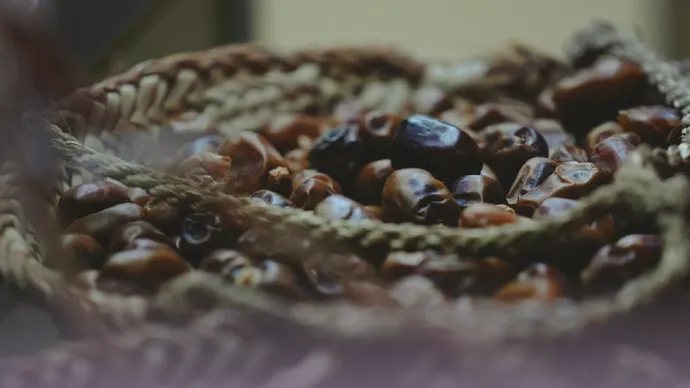 Under the patronage of Mansour bin Zayed, 3rd Al Wathba Date Festival to take place in Abu Dhabi as part of Sheikh Zayed Festival