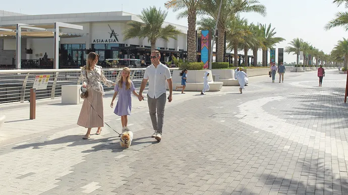 Department of Municipalities and Transport approves amendments to regulations allowing tourist facilities to welcome pets