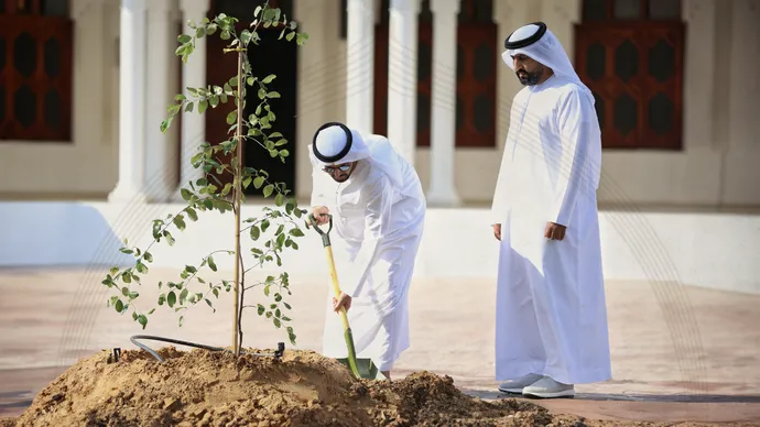 الهيئة العامة للشؤون الإسلامية والأوقاف والزكاة تُنجز المرحلة الأولى من مبادرة «نزرع مسايدنا»