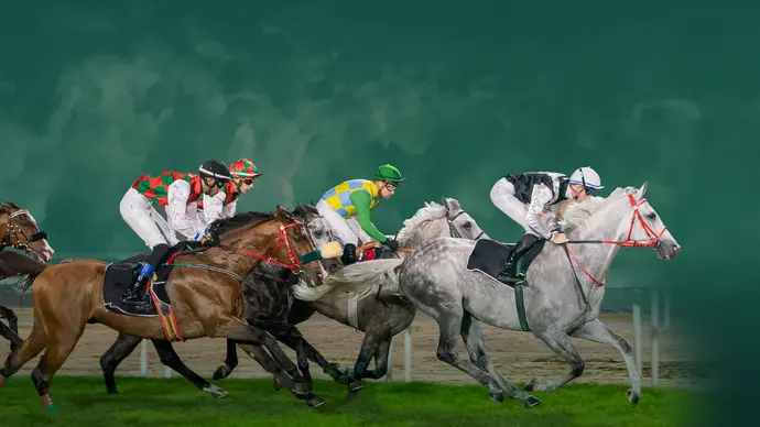 Under the patronage of Mansour bin Zayed, 32nd UAE President Cup for Purebred Arabian Horses to take place in Abu Dhabi