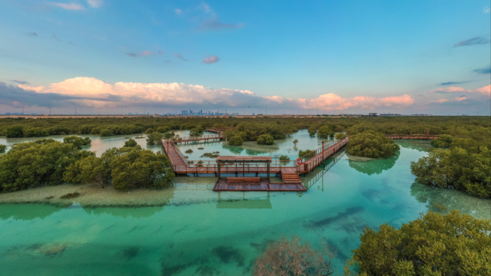 Jubail Mangroves_1