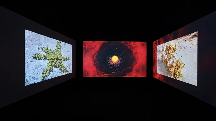 معرض «روافد ورؤى» في كوريا الجنوبية يقدّم 110 أعمال فنية أبدعها 47 فناناً من دولة الإمارات