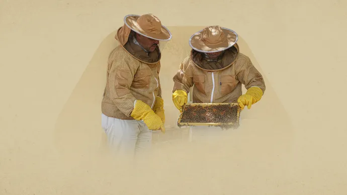 On World Bee Day 2026, Abu Dhabi Agriculture and Food Safety Authority (ADAFSA) launches 11th generation of Emirati queen bees