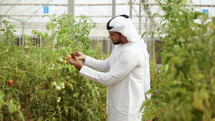 Abu Dhabi Agriculture and Food Safety Authority issues condition and controls for smallholder plant production farms