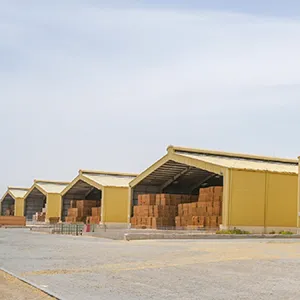 Abu Dhabi Agriculture and Food Safety Authority issues decision on ...