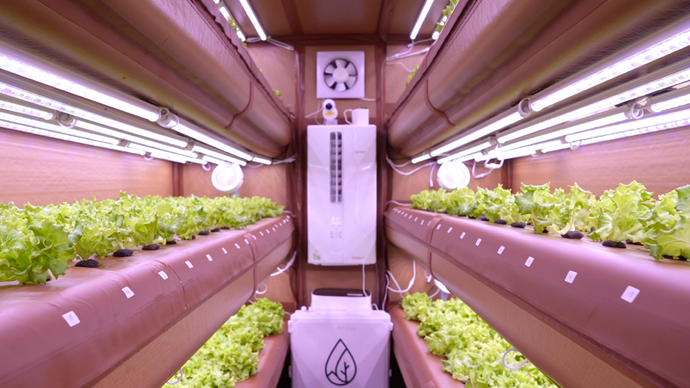 Abu Dhabi University inaugurates first on-campus AirFarm