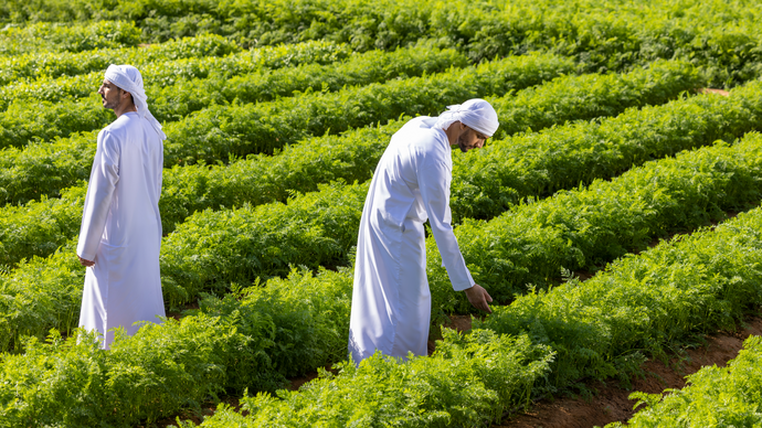 هيئة أبوظبي للزراعة والسلامة الغذائية تحدد الأنشطة النباتية والحيوانية اللازمة لممارسة الأنشطة الاقتصادية في المزارع