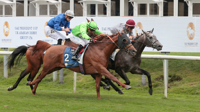 Under the directives of Mansour bin Zayed, 32nd UAE President Cup for Purebred Arabian Horses reveals global race calendar