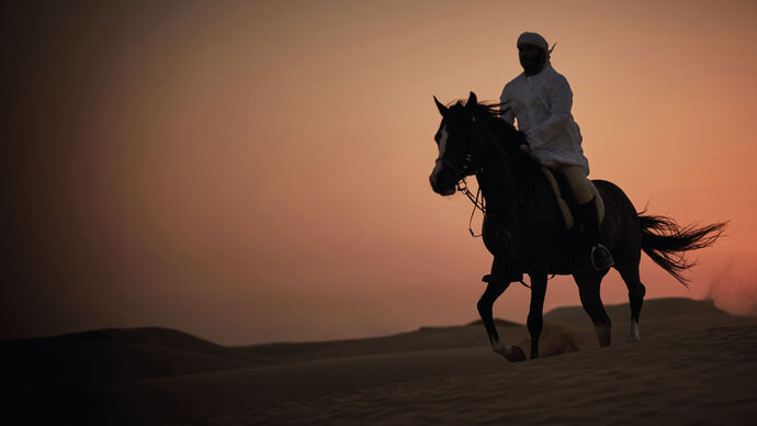 Family Care Authority and UAE Equestrian and Racing Federation partner to provide equine-assisted therapy services in Abu Dhabi