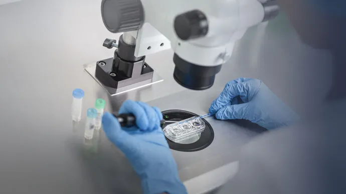 Abu Dhabi’s IVF services ranked among the most successful worldwide in 2024, with 51%+ success rate