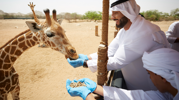 حديقة الحيوانات بالعين تدعم الاستدامة البيئية من خلال إنتاج أكثر من 210 أطنان من الغذاء التكميلي للحيوانات سنوياً