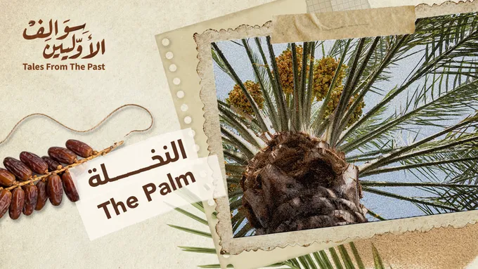 النخلة