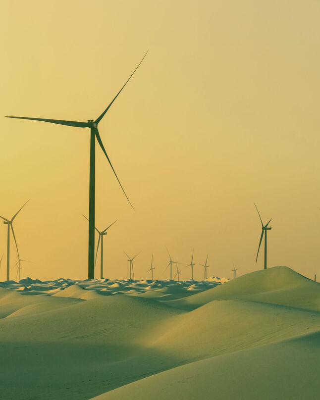 Abu Dhabi Education News Admo