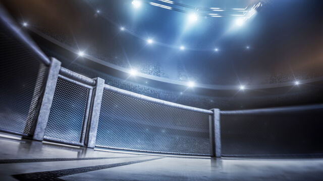 14th Abu Dhabi World Professional Jiu-jitsu Championship Will Be Held on 11-19 November