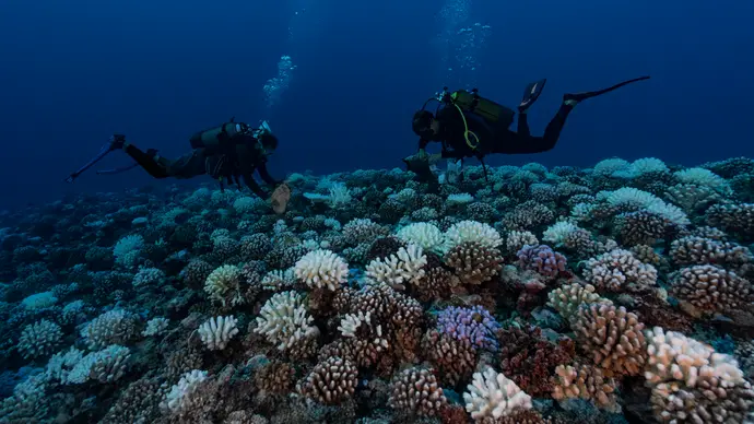 Environment Agency – Abu Dhabi and Khalifa University collaborate on comprehensive coastal seabed survey aboard marine research vessel Jaywun