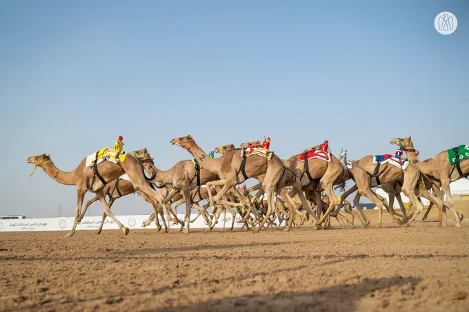 Hazza bin Zayed attends Lagaya category race at Al Rawda Racetrack in Al Ain Region