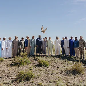 Sheikh Zayed Falcon Release Programme releases 2,400+ falcons in the wild since 1995 founding