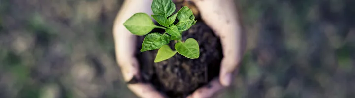 12th World Environmental Education Congress (WEEC)