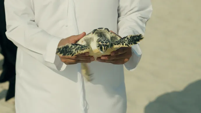 Yas SeaWorld Research &amp; Rescue Center surpasses 800 animal rescues since opening in 2023