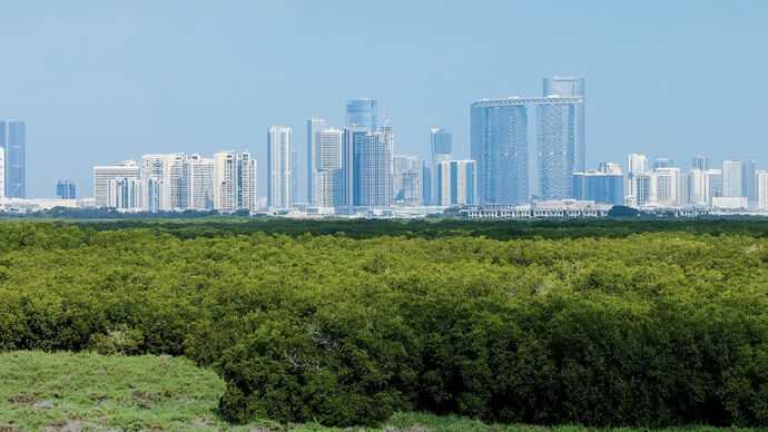 Environment Agency – Abu Dhabi Launches self-reporting programme to assess environmental impacts