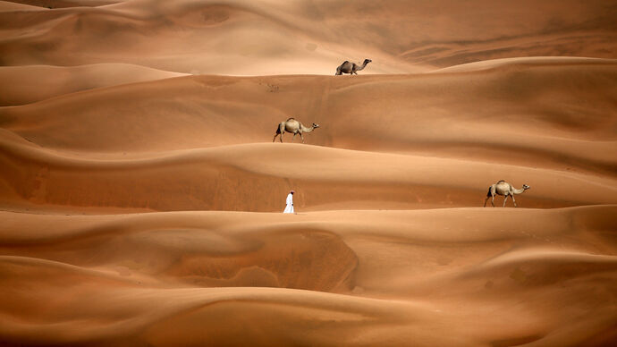 Al Dhafra Festival