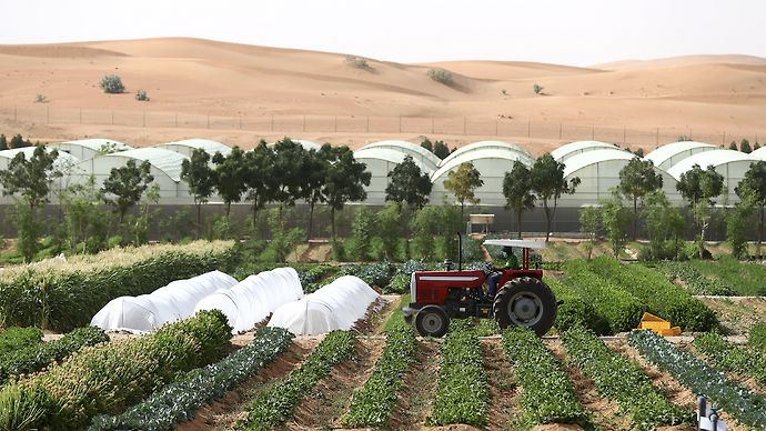 Mansour bin Zayed issues resolution to strengthen Abu Dhabi’s agricultural legislative system