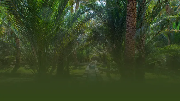 Abu Dhabi Agriculture and Food Safety Authority confirms ban on cryptocurrency mining on farms, promoting responsible agricultural land use