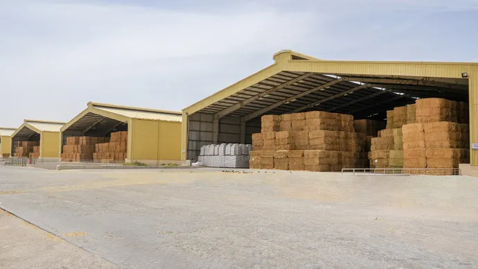 Abu Dhabi Agriculture and Food Safety Authority records AED1.47bn+ in sales through Fodder Market platform in 2024