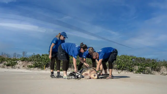 SeaWorld Yas Island, Abu Dhabi and The Yas SeaWorld Research &amp; Rescue Center receive international accreditation for excellence in animal care and conservation