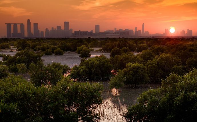 Universities Climate Network launches to foster youth engagement in climate action