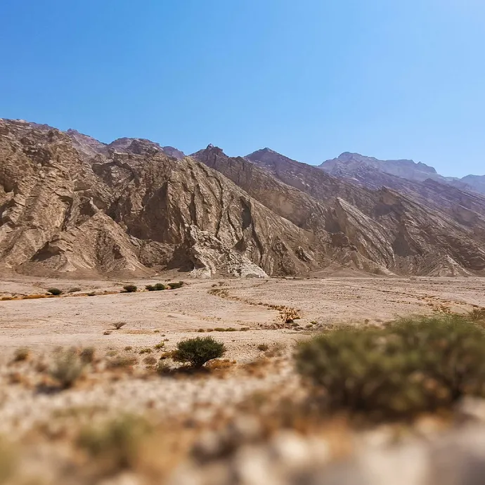 تحت رعاية هزاع بن زايد.. جامعة الإمارات تستضيف المؤتمر العالمي الثامن للجيوفيزياء الهندسية