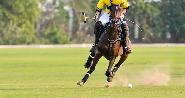 HH President of the UAE Polo Cup