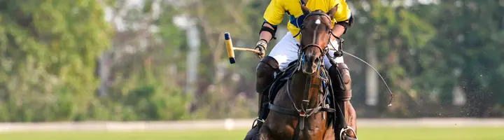 HH President of the UAE Polo Cup