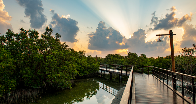 With Mubadala as a founding partner, Climate Governance Initiative’s Chapter Zero UAE supporting climate action and advancing environmental considerations