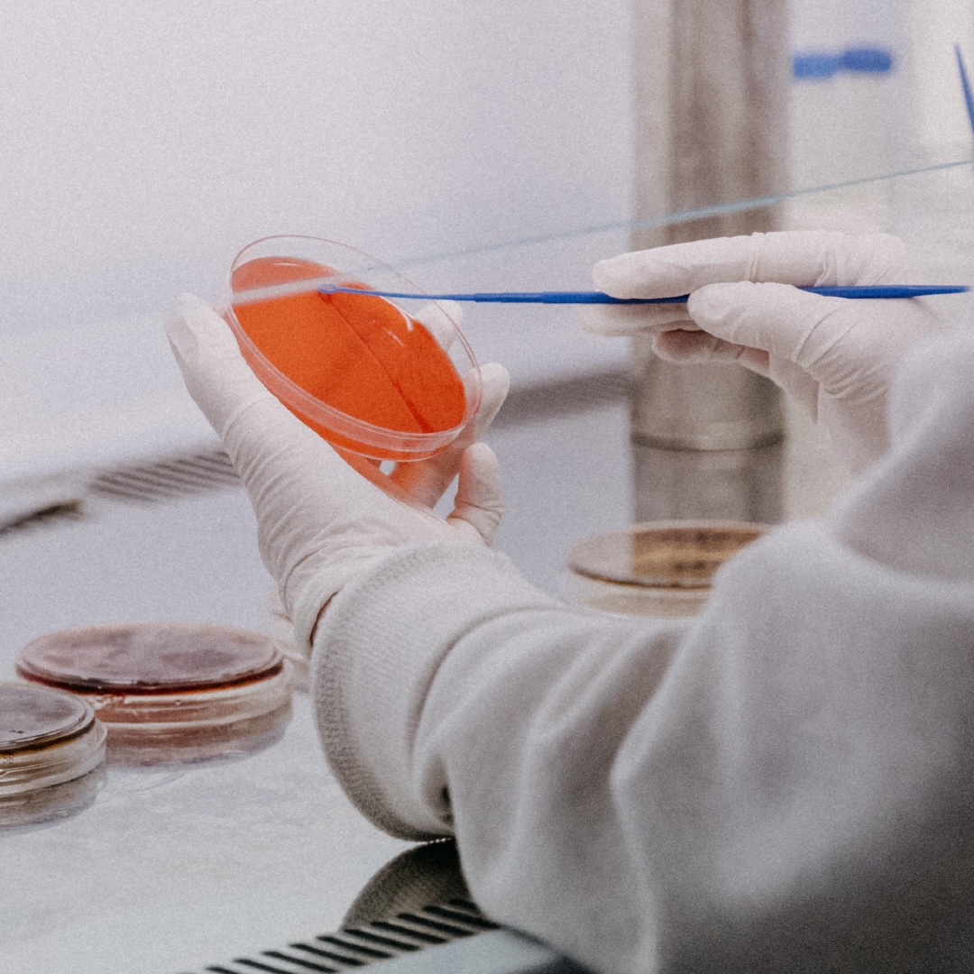 National Multiple Sclerosis Society awards research grants to six