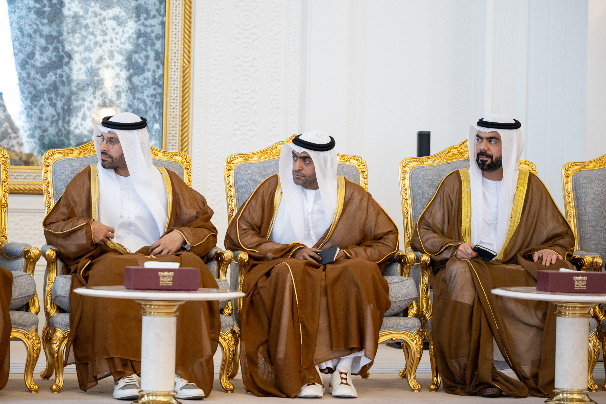 Crown Prince of Abu Dhabi meets Prime Minister of Qatar