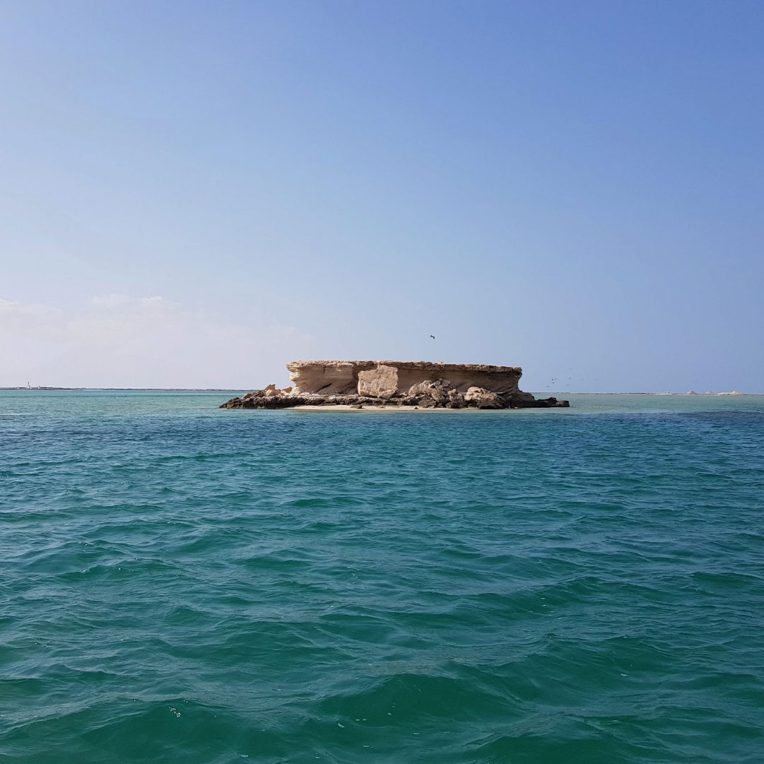 Environment Agency Abu Dhabi Launches Innovative  Portal and